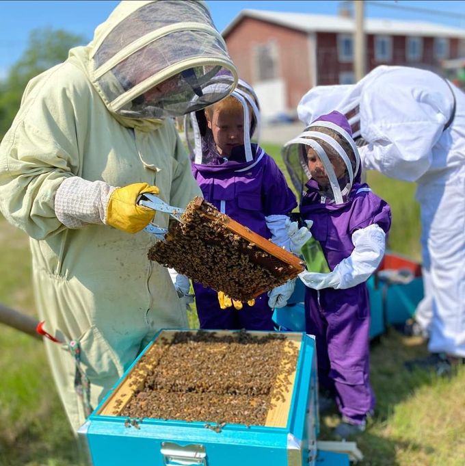 Bi-Safari med Petras Bikupa. Följ med ner i bikupan och upplev binas magiska värld. Provsmaka varm aromatisk honung direkt ifrån kupan. Det är en härlig upplevelse, som passar alla ung som gammal. 